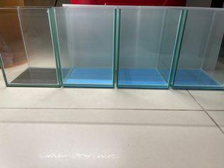 [Lelong]Betta Glass Tanks