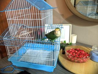 (Category: ) located in . Submitted by rev_rainbow (Listing ID 1172461729, Image 1). Description: .