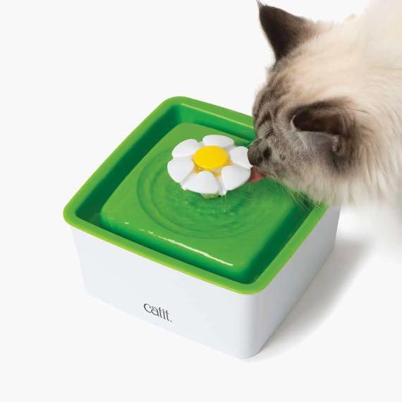 Catit flower hotsell fountain filter floating