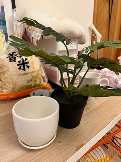 （分類：）位於 。 由 mickmokkk 提交（商品編號 1172496103，圖片 1）。簡介： 。