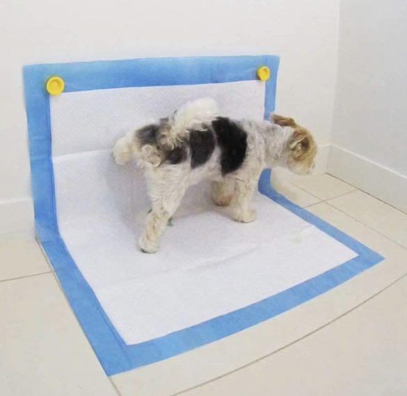 Pee pad holder with walls clearance