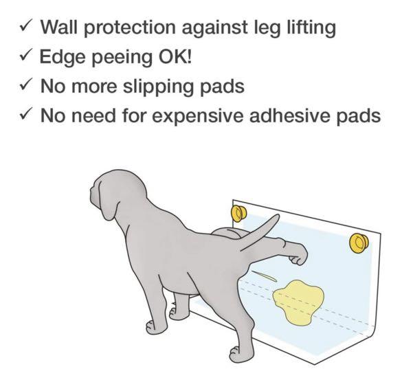 Puppy peeing on corner of pad sales