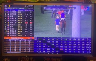 （分類：）位於 。 由 med100 提交（商品編號 1171593145，圖片 1）。簡介： 。