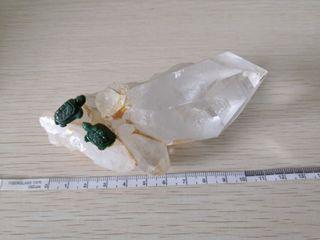 stone tortoises on clear quartz crystal