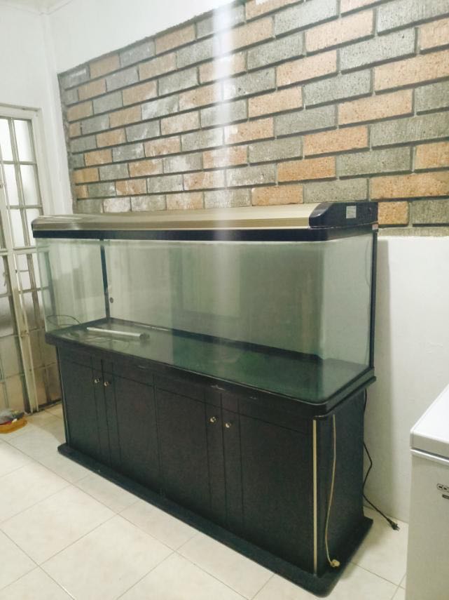 100-gallon fish tank with motor and cabinet, Pet Supplies, Homes ...