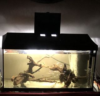 (Category: ) located in . Submitted by laksalormee (Listing ID 1172607184, Image 1). Description: .
