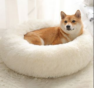 (Category: ) located in . Submitted by fourpaws.official (Listing ID 1172708541, Image 1). Description: .