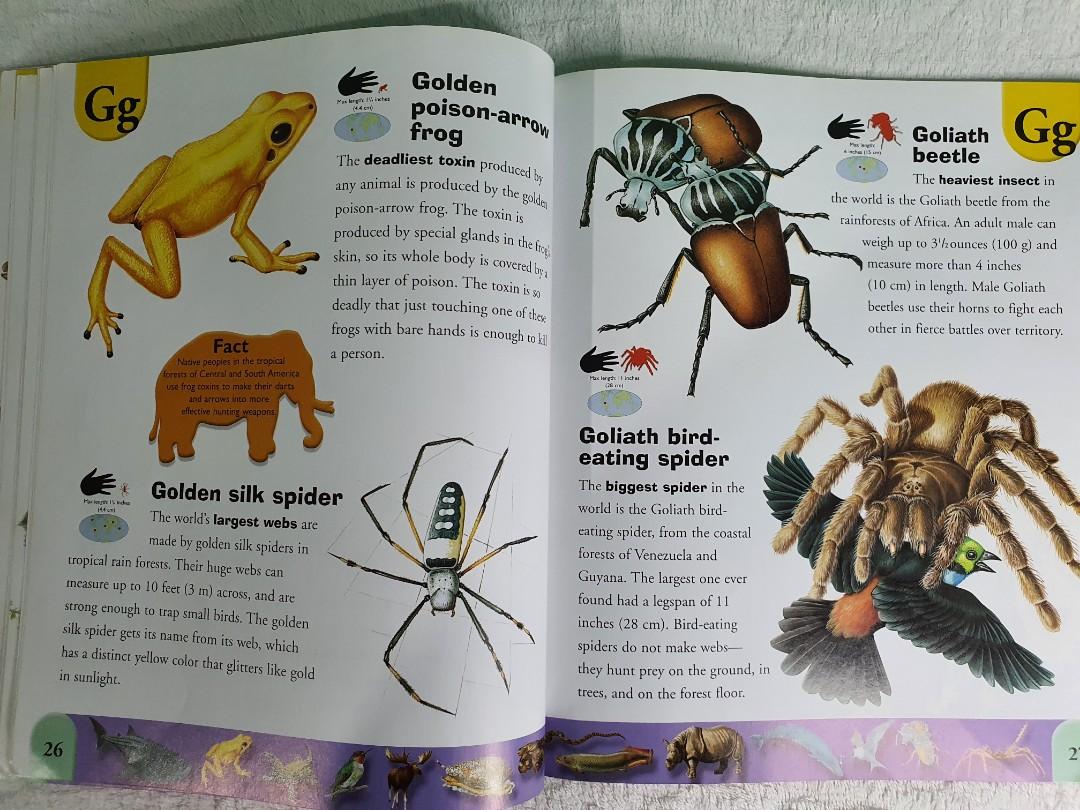 Extreme Animals Dictionary, Hobbies & Toys, Books & Magazines, Children's Books on Carousell Extreme Animals Dictionary, Hobbies & Toys, Books & Magazines, Children's Books on Carousell