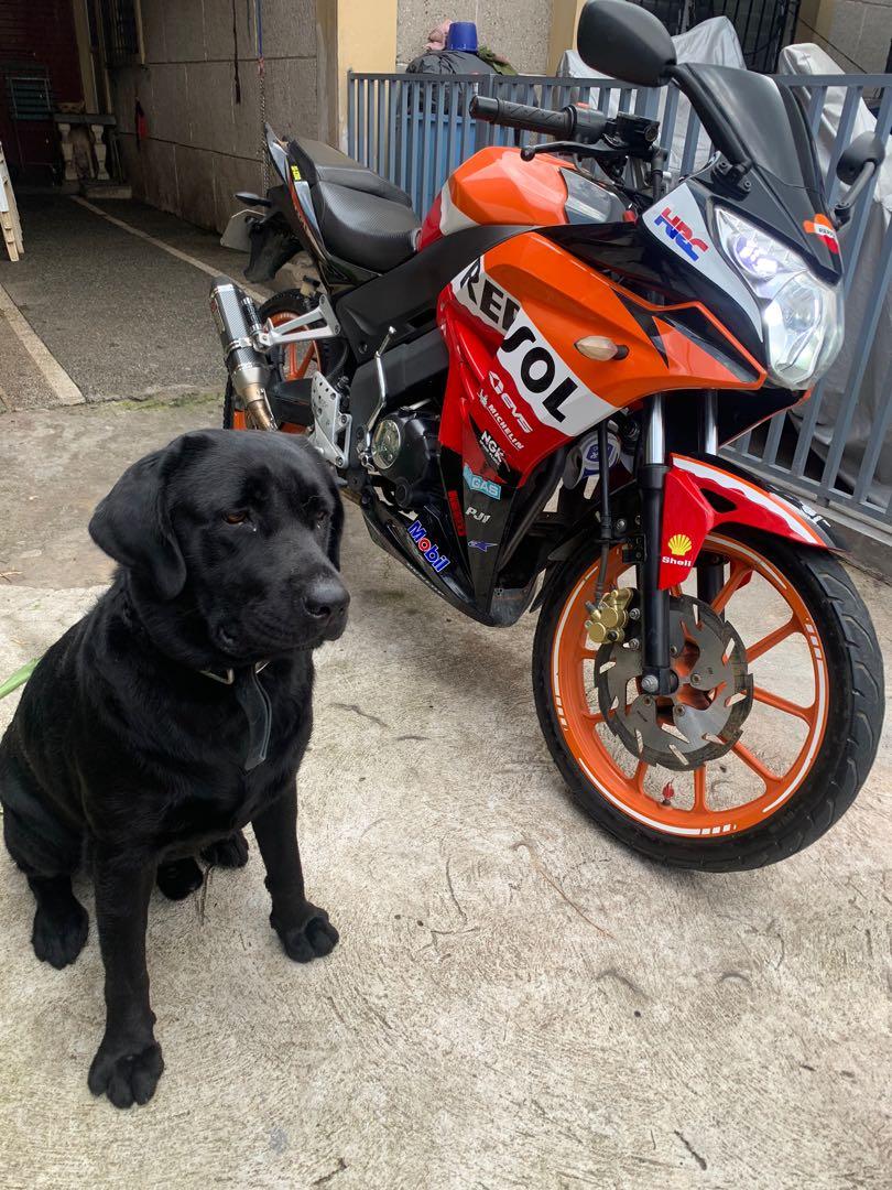 Rusi SSX 200 Motorbikes Motorbikes for Sale on Carousell