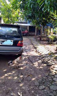 dijual tanah kosong seluas 139mtr shm pas buat bikin kontrakan lokasi di komsen jatiasih bekasi kota