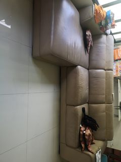 (Category: ) located in . Submitted by lizzie12 (Listing ID 1172790663, Image 1). Description: .