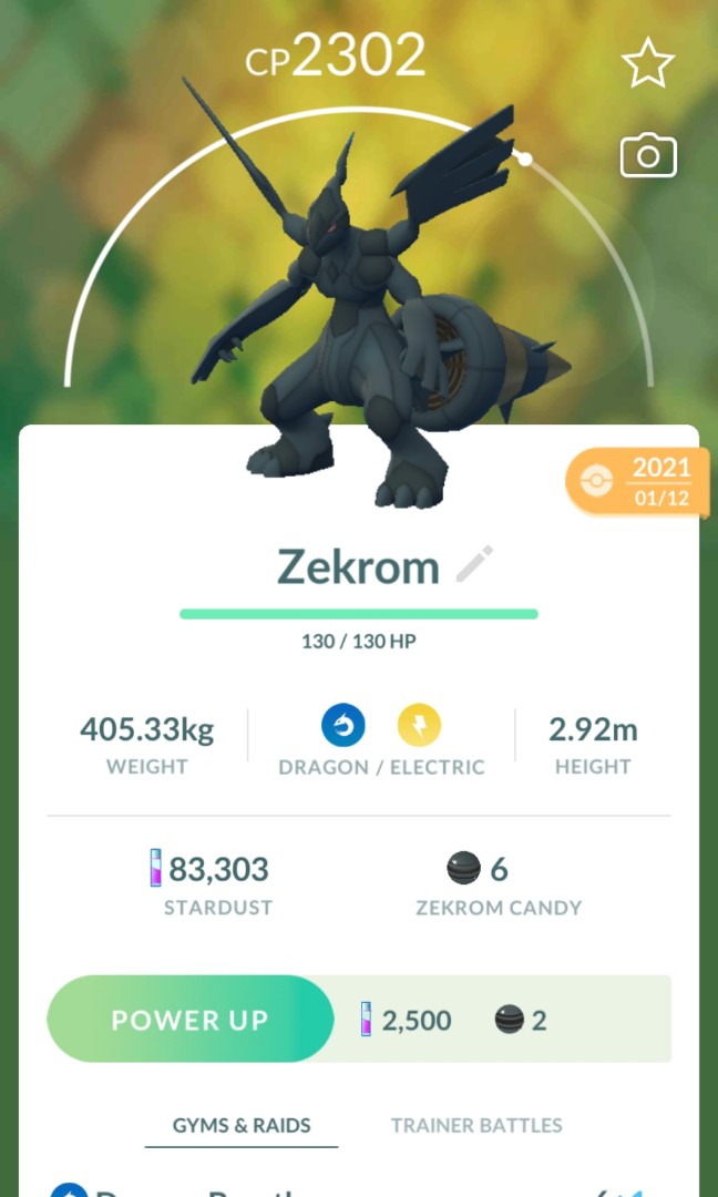 pokemon legendary zekrom