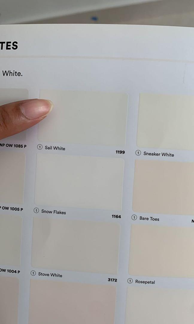(Sail White & Birch Patina) Nippon Paint, Emulsion, Furniture & Home Living, Home Improvement