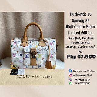 Louis Vuitton, Bags, Rare Audra Multicolor Louis Vuitton