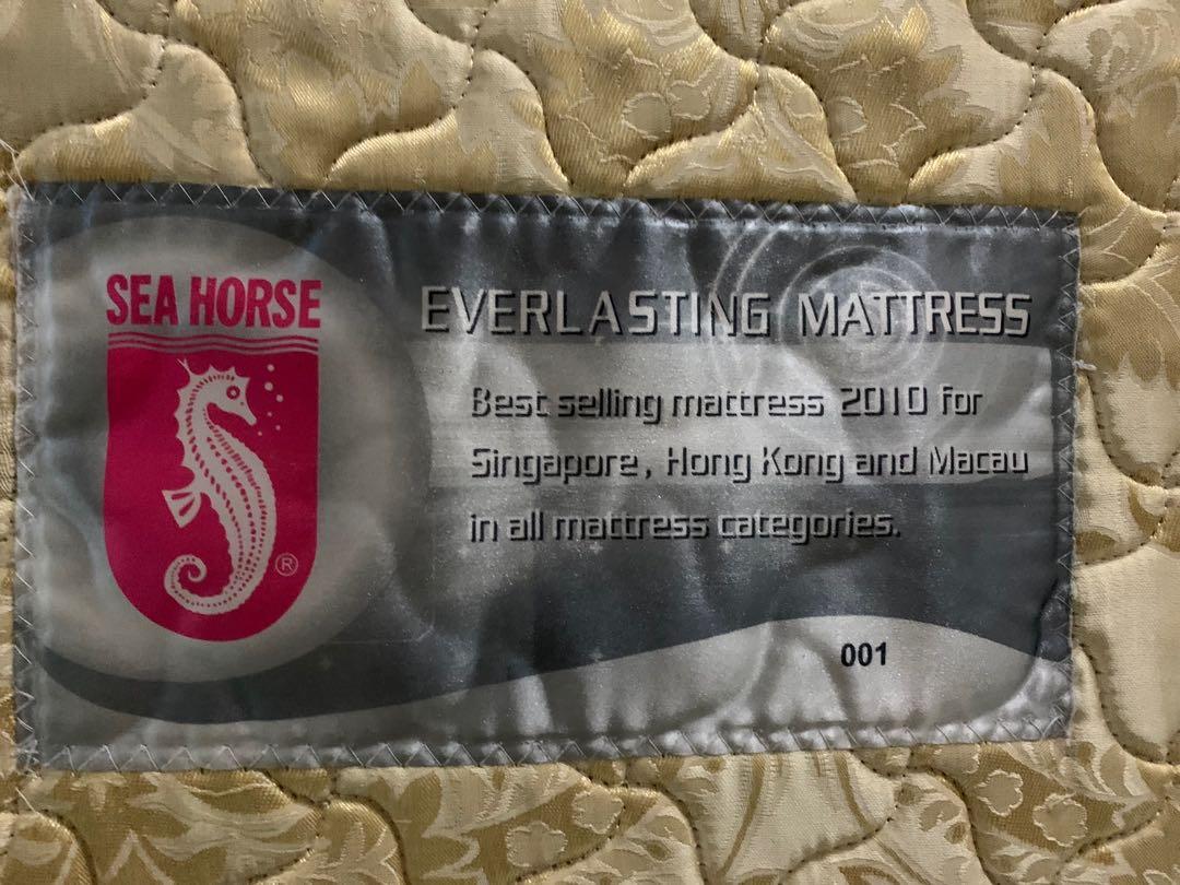 Seahorse Everlasting Queen Mattress