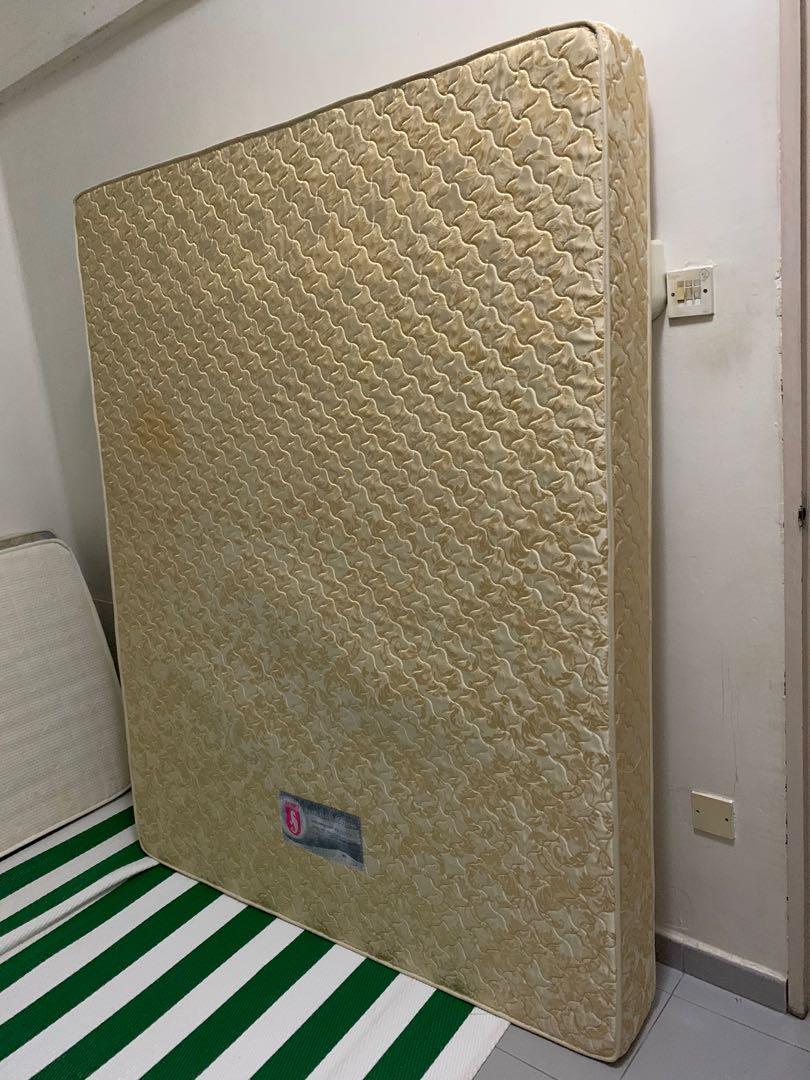 Seahorse everlasting deals mattress