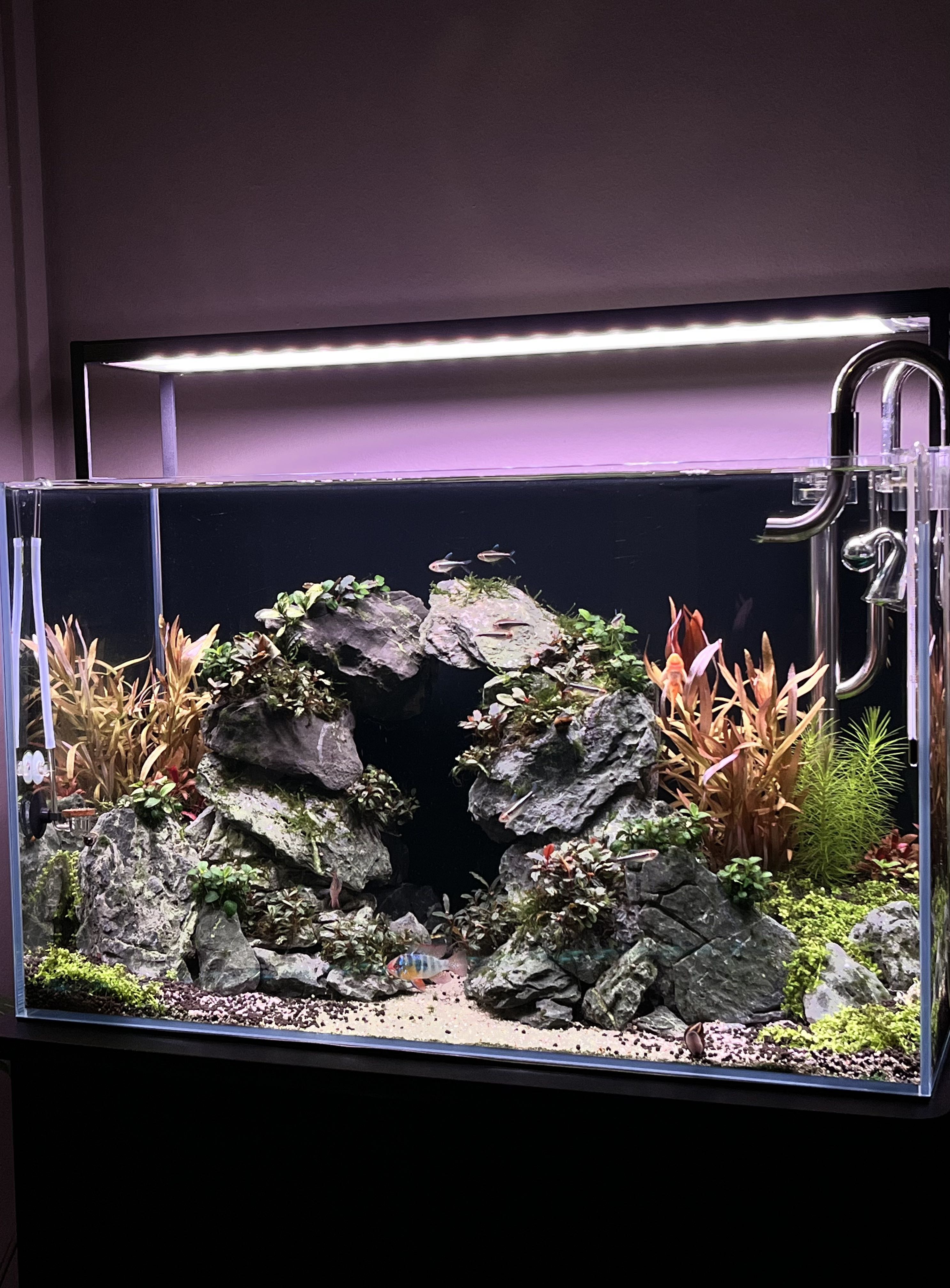 Aquarium hardscape hotsell supplies