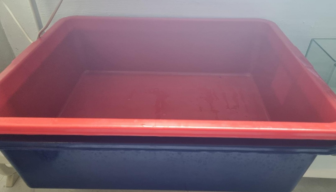 TUB FOR BREEDING FISH, Pet Supplies, Homes & Other Pet Accessories on