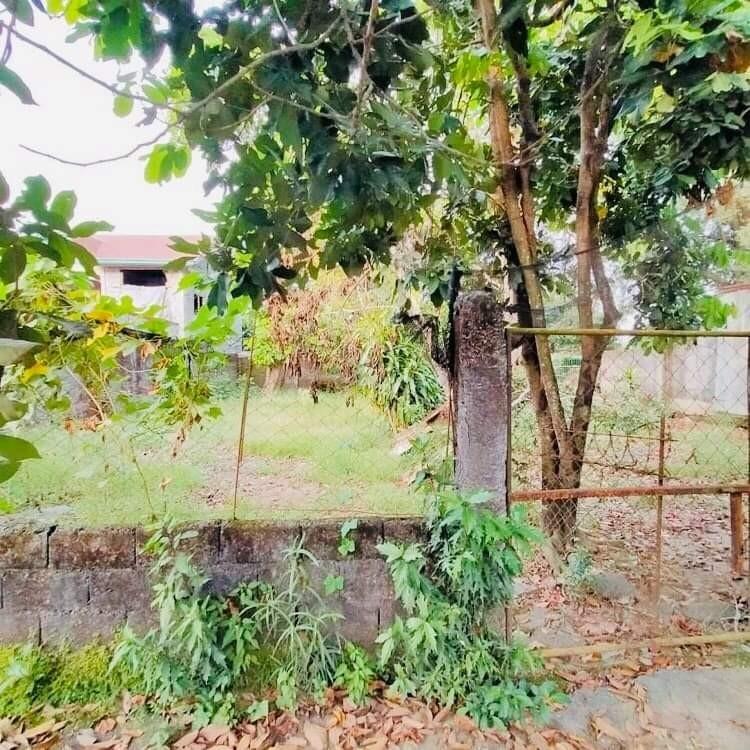 750 SQM Montalban / Rodriguez Rizal House and Lot with Garden and