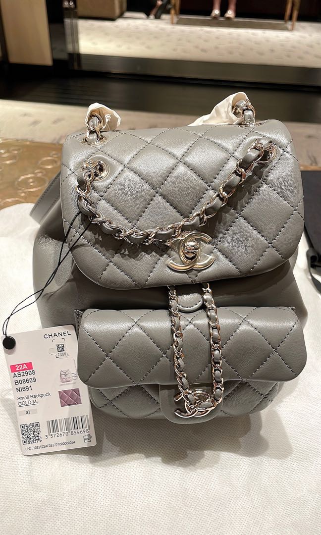 BNIB Chanel 22A Duma Backpack ~ Grey, Luxury, Bags & Wallets on