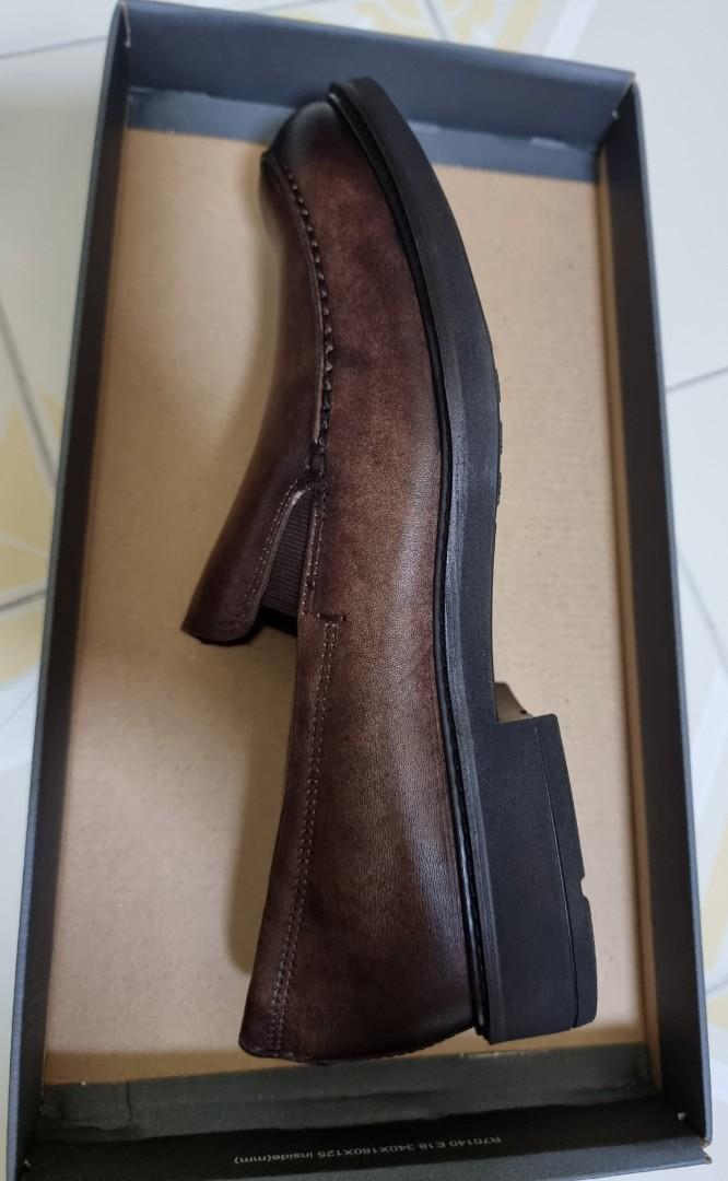 Vitrus best sale iii ecco