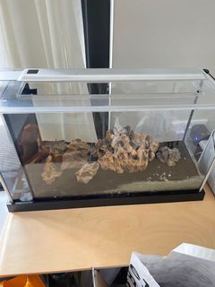 (Category: ) located in . Submitted by ames321 (Listing ID 1173053428, Image 1). Description: .