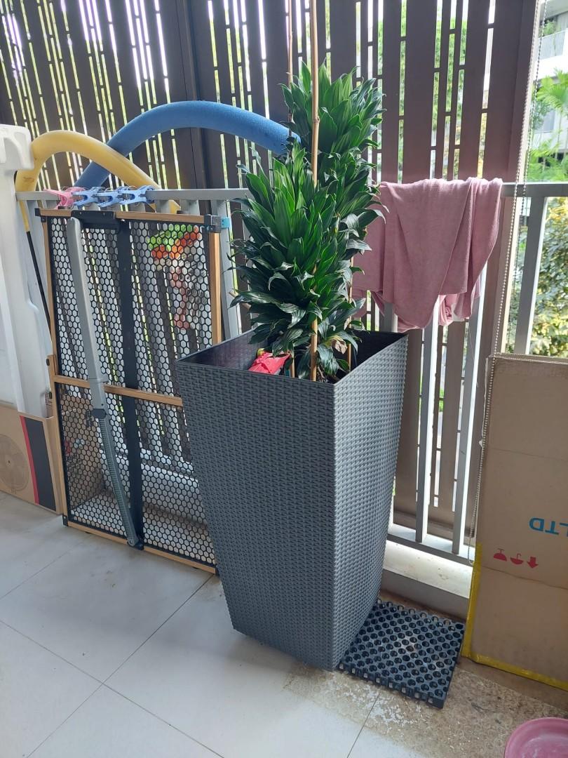 FREE TO GIVE FURNITURE, Furniture & Home Living, Furniture, Other Home