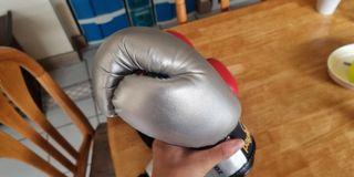 FS : Payantog Original 10 oz "metallic silver" and Pro sport boxing gloves "Red"