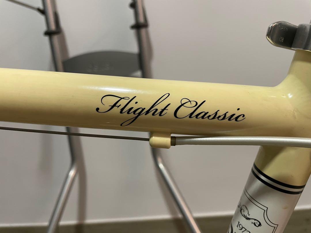 Giant flight 2025 bike