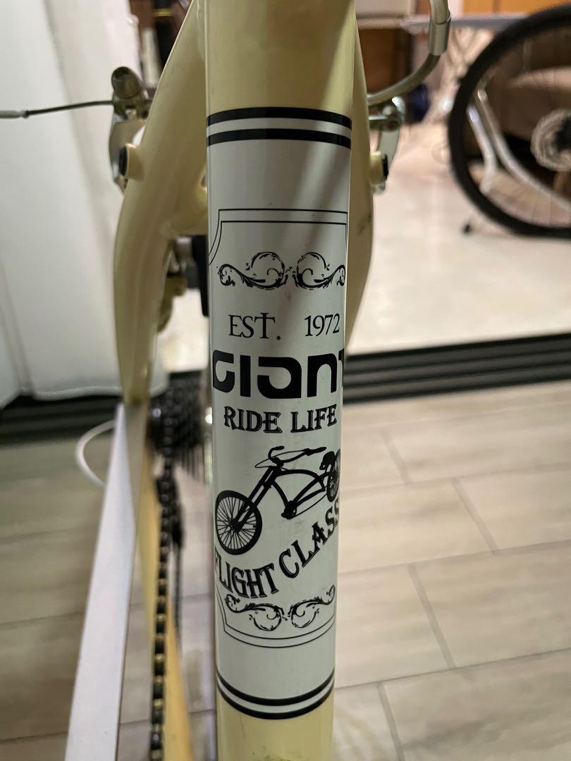 Giant Flight Classic Hybrid Road Bicycle