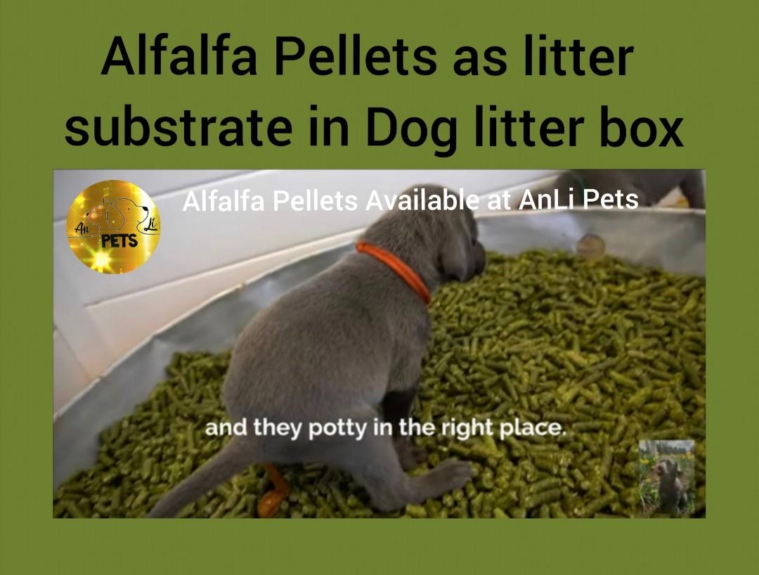 Alfalfa pellets for dog litter outlet
