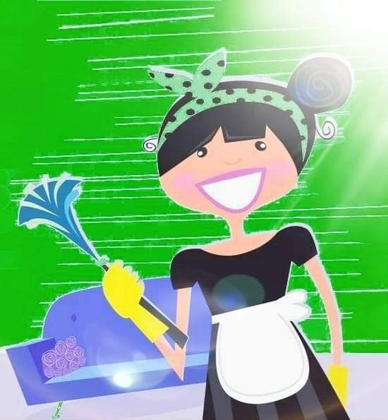 Subang USJ Putra Heights Cleaning Services, Services, Others on Carousell