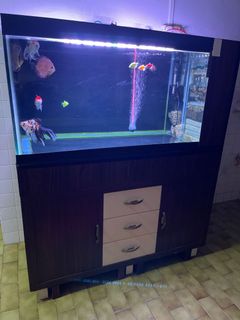 (Category: ) located in . Submitted by lanhellegion (Listing ID 1173329410, Image 1). Description: .