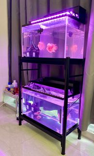 (Category: ) located in . Submitted by nellie02 (Listing ID 1173207482, Image 1). Description: .