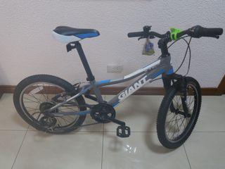 Giant XTC JR