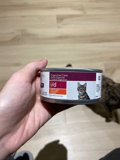 （分類：）位於 。 由 yellow_cat 提交（商品編號 1173296247，圖片 1）。簡介： 。