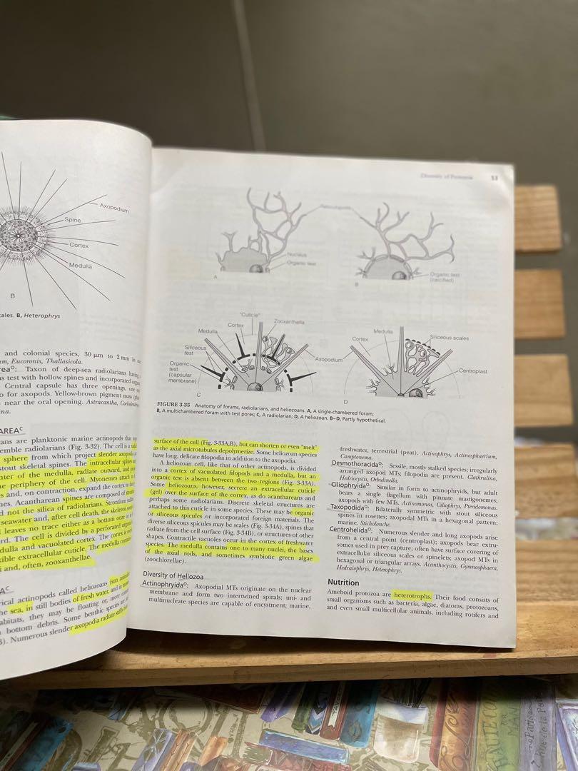 Invertebrate Zoology 7th Edition by Ruppert, Fox, Barnes, Hobbies