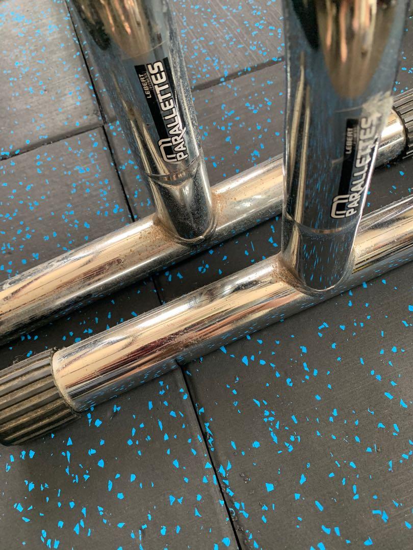Frank medrano 2025 parallettes