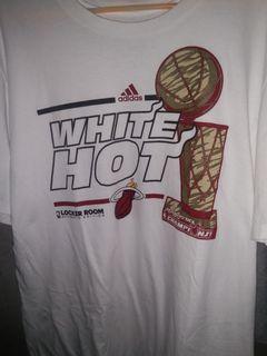 Miami heat 2013 back to back champions