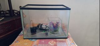 (Category: ) located in . Submitted by Mahisur (Listing ID 1173320428, Image 1). Description: .