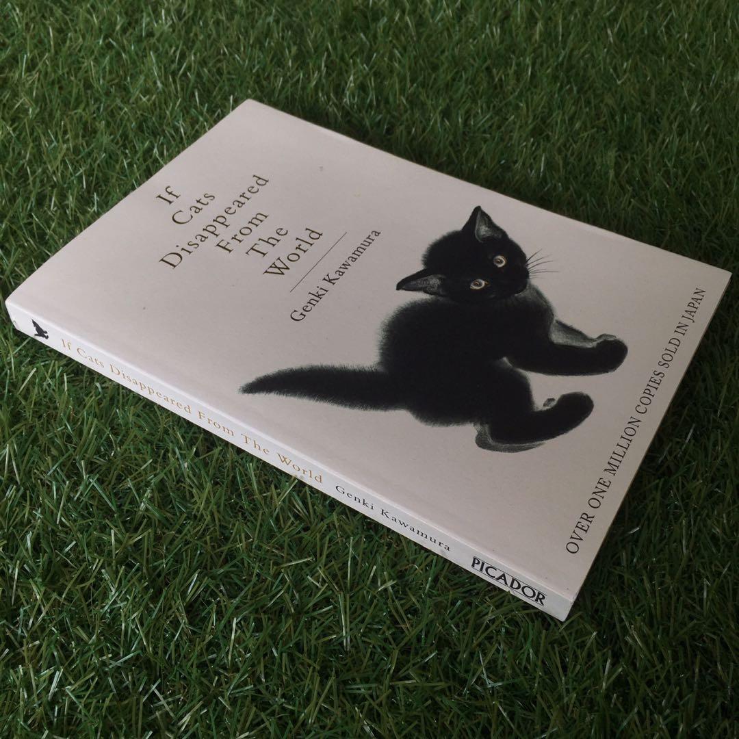 Preloved cats sales