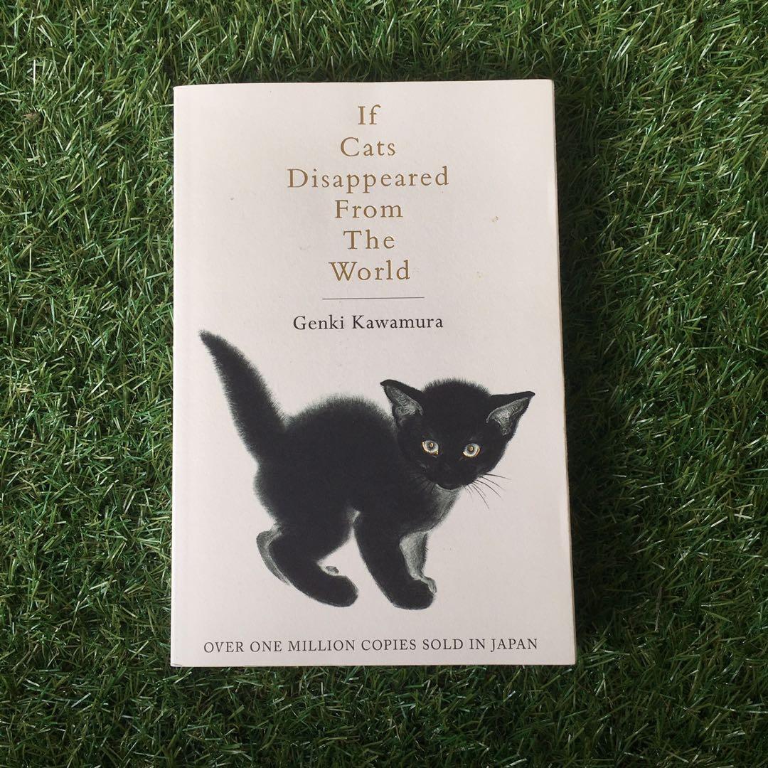 Pre loved hot sale cats