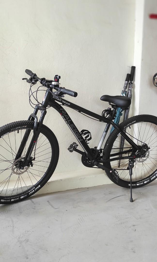 Raleigh 29\
