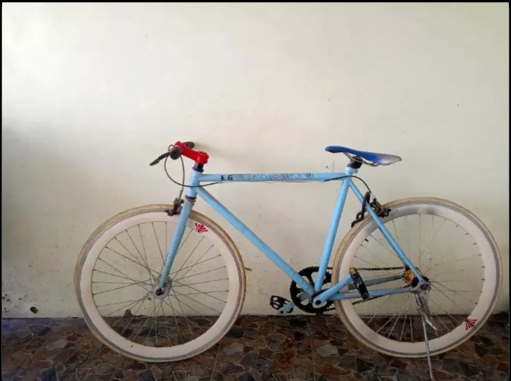 Evergreen fixie outlet