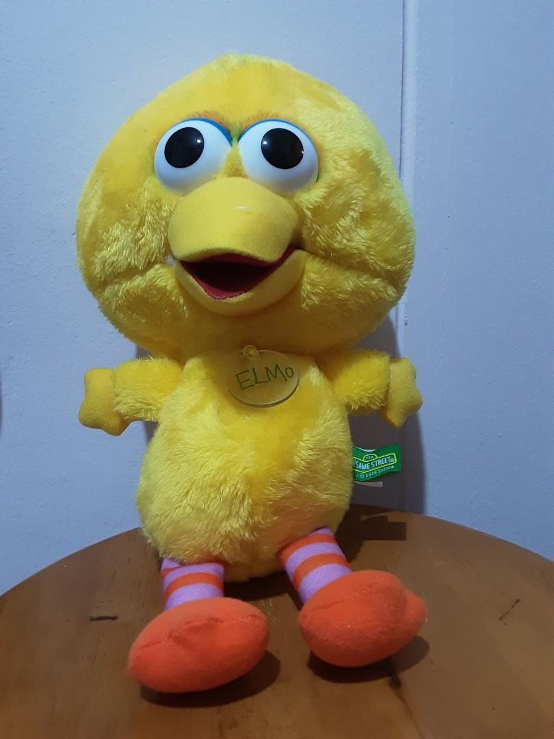 big bird teddy