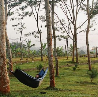 HAMMOCK-4 pt. System Cocoon  by CebuOutdoors