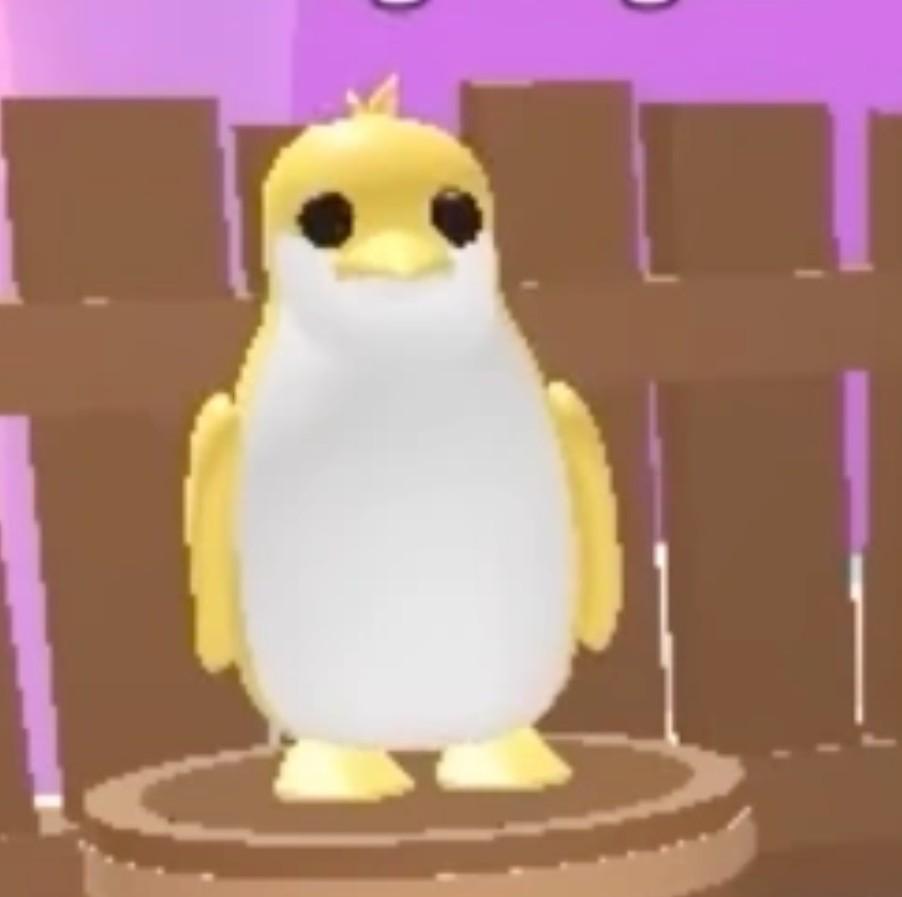 Adopt me pets golden penguin, Video Gaming, Gaming Accessories, InGame
