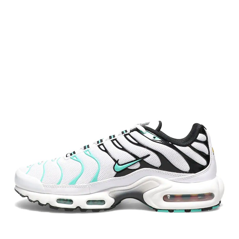 air max plus atmos