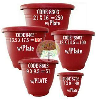 Available XXXl pots
