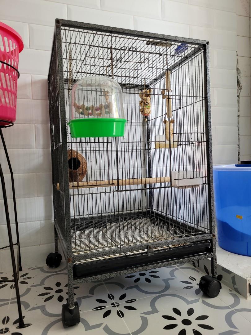 Bird Cage, Pet Supplies, Homes & Other Pet Accessories on Carousell